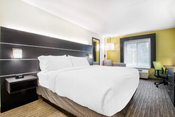 Holiday Inn Express & Suites Albany Airport - Wolf Road image 15