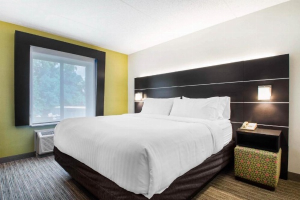Holiday Inn Express & Suites Albany Airport - Wolf Road image 16